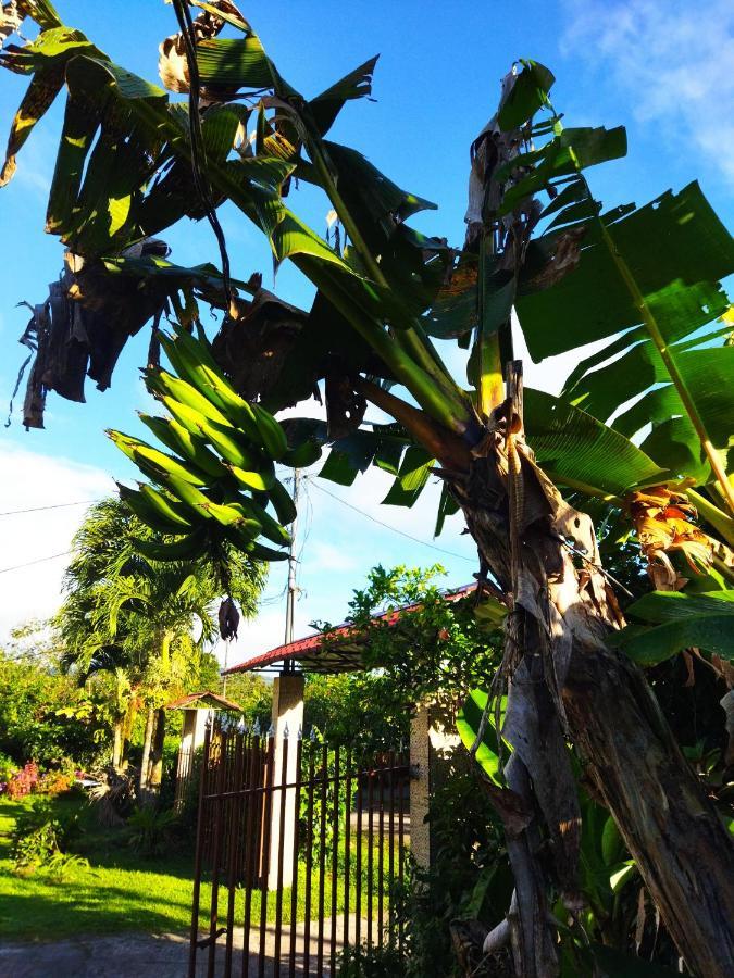Bijagua paradise Río Celeste Exterior foto