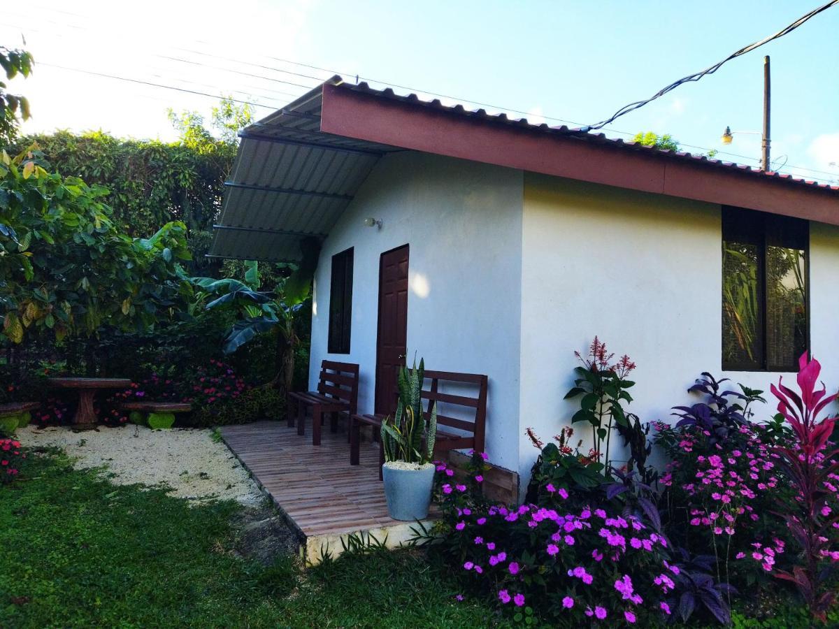 Bijagua paradise Río Celeste Exterior foto