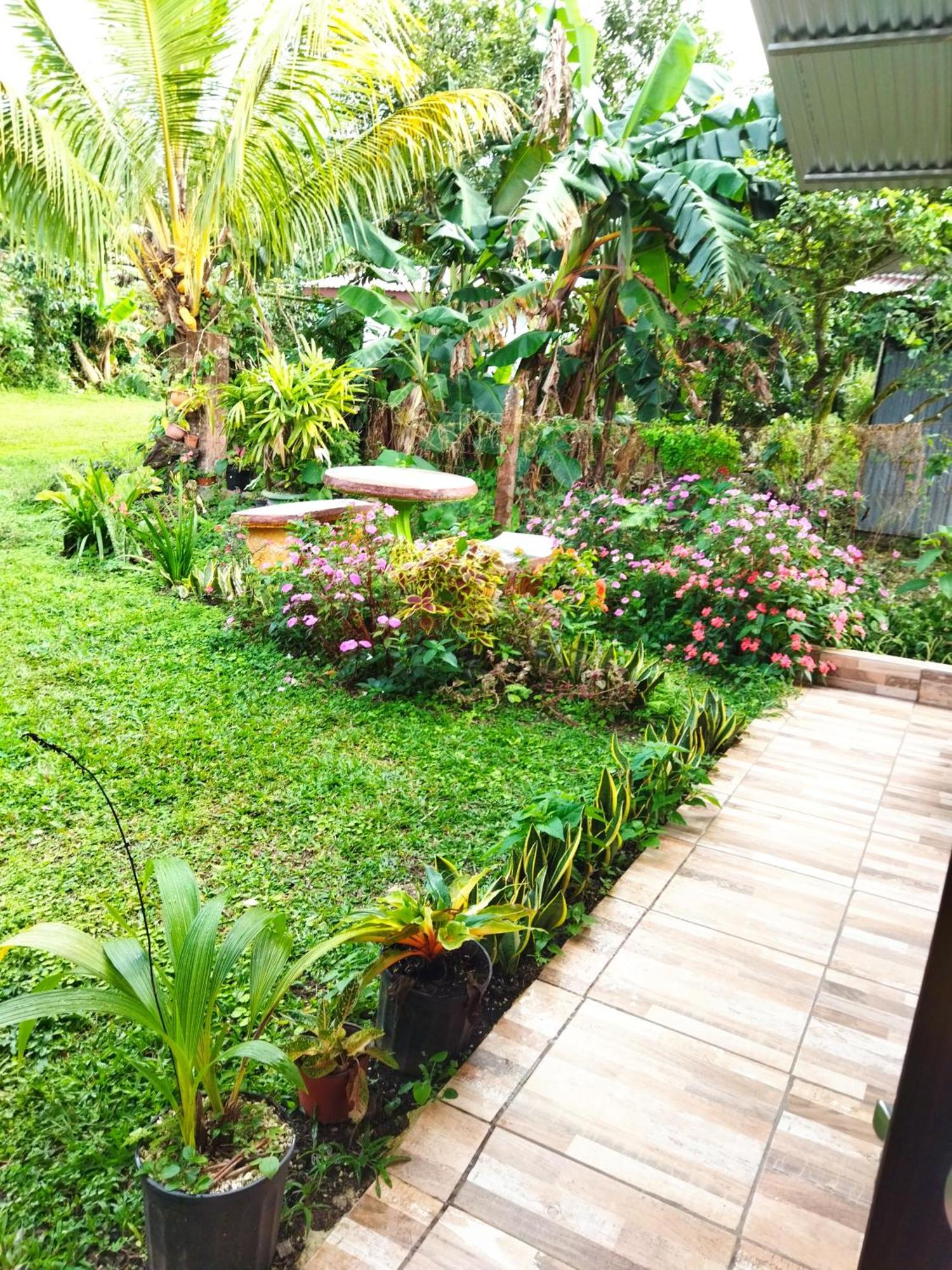 Bijagua paradise Río Celeste Quarto foto