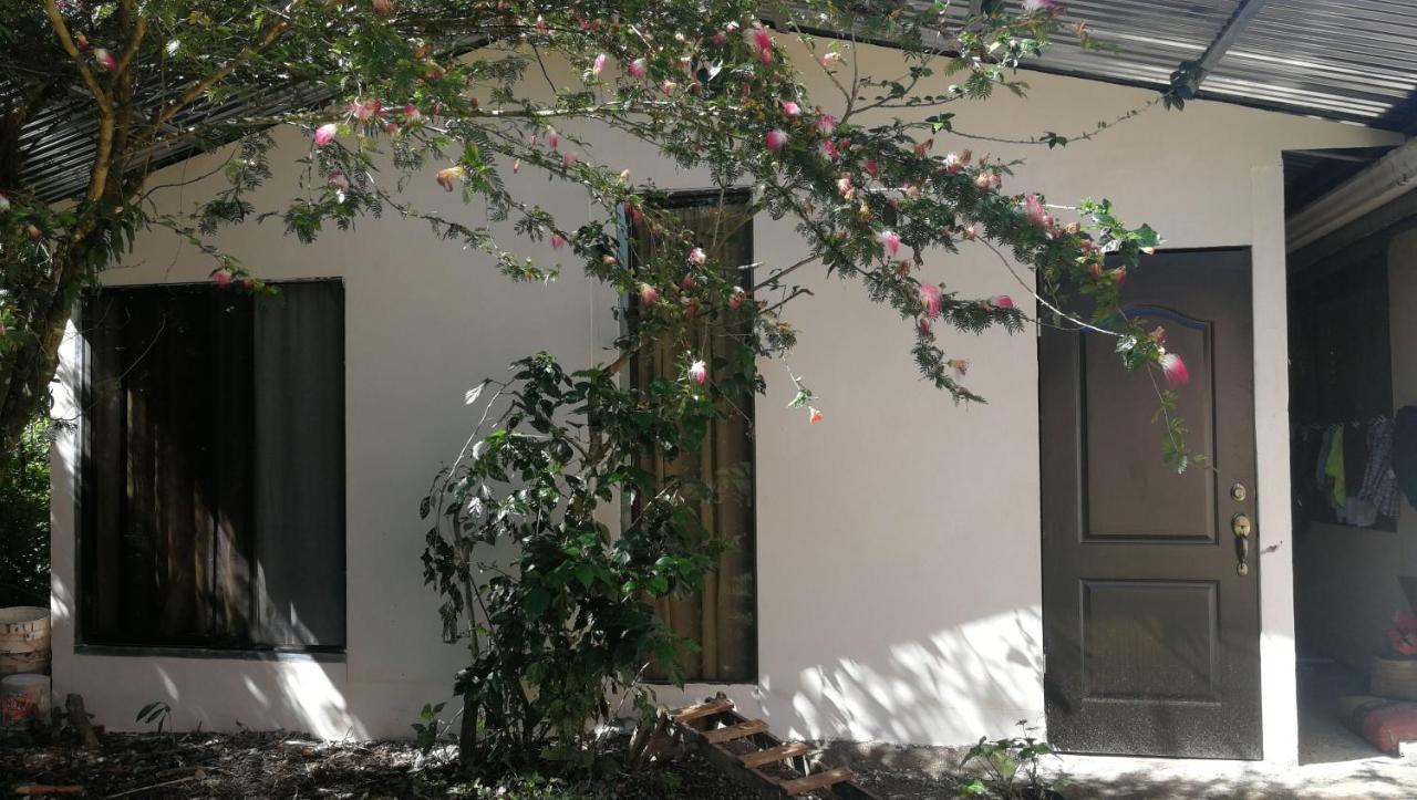 Bijagua paradise Río Celeste Exterior foto