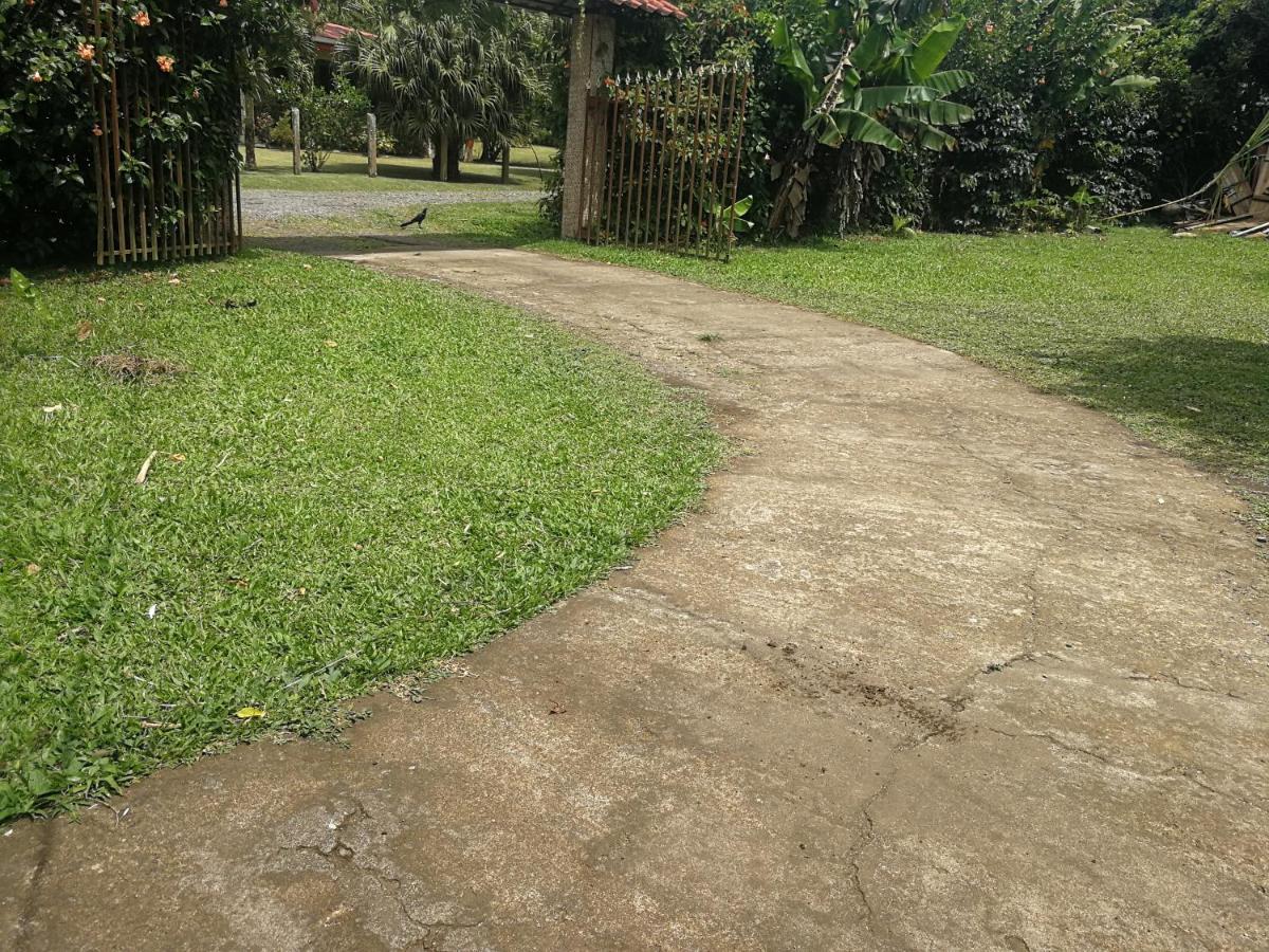 Bijagua paradise Río Celeste Exterior foto